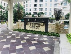 Rivervale Crest (D19), Apartment #199402452